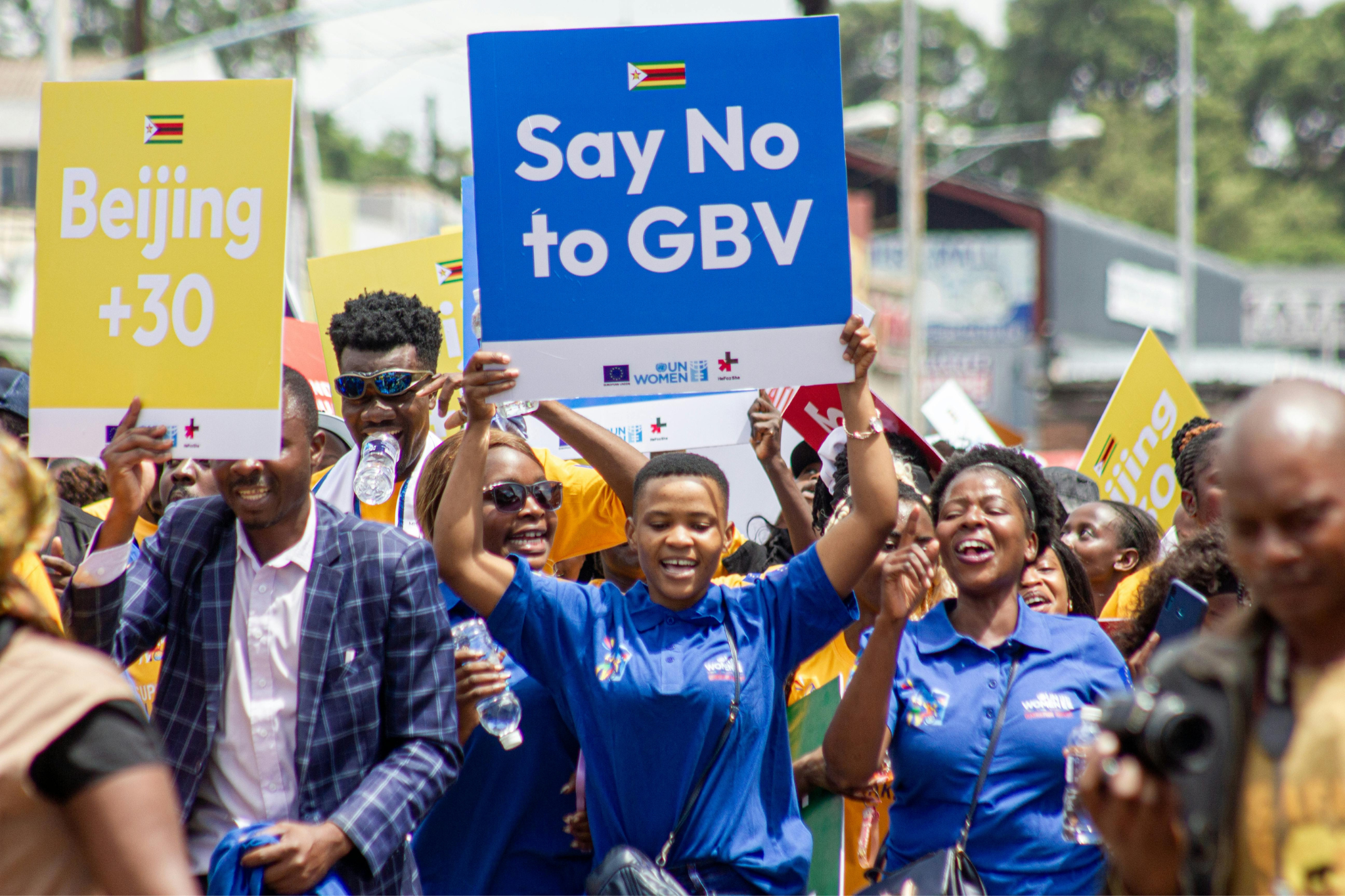 Articles gender based violence